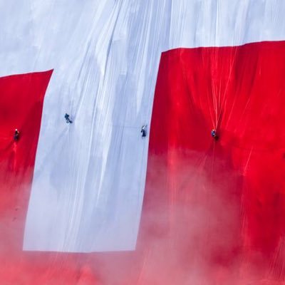 ruishiduomi's profile picture. True good quotes： 默而识之，学而不厌，诲人不倦，何有于我哉。..发愤忘食，乐以忘忧，不知老之将至云尔。 ..三人行，必有我师焉。 ..士不可以不弘毅，任重而道远。 ...子绝四：毋意，毋必，毋固，毋我。 ...瞻之在前，忽焉在后。 .......朽木不可雕也。 ......子以四教：文行忠信。🍶😉