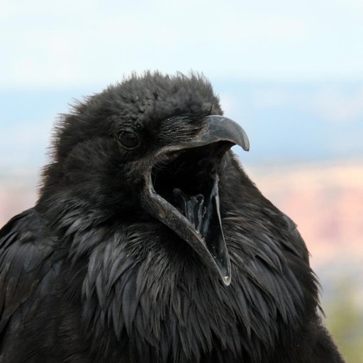 manihatemyself's profile picture. i suck