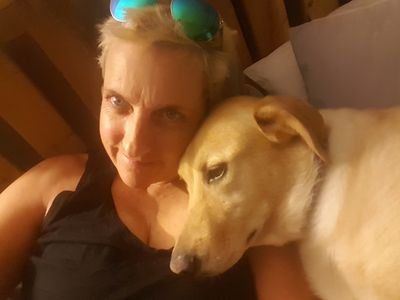 CCSDrB1's profile picture. 