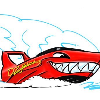 We spin, splash, fishtail, and dash around all of the iconic sights Sydney Harbour has to offer in our famous red shark jet boats.