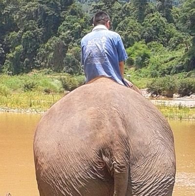 職業→映像製作📹象使い🐘旅人🛫
                                                           

趣味→旅✈️写真は趣味📸観劇🎭                             






一生旅人でいたい！