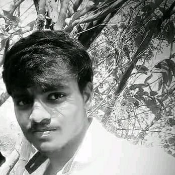 MMalles40481889's profile picture. 