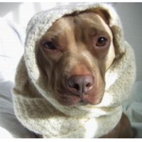 baro (@bar0n8888) Twitter profile photo