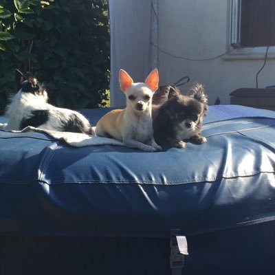 louiey29's profile picture. 