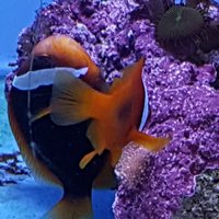 Stewarty0907 (@stewarty0907) 's Twitter Profile