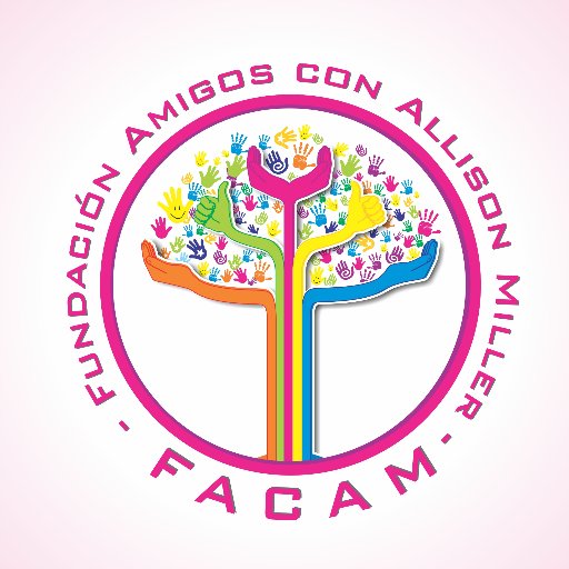 facallisonmill's profile picture. Fundación sin fines de lucro para apoyar a la infancia mas vulnerable
https://t.co/Spe7hifeXL
