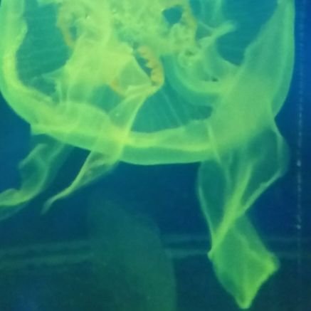 Rose_May_'s profile picture. ..