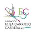 Fundación Elisa Carrillo (@fundacionelisac) Twitter profile photo