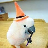 hiro_www_w's profile picture. 