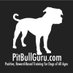 Pit Bull Guru (@pitbullguru) Twitter profile photo Pit Bull Guru (@pitbullguru) Twitter profile photo