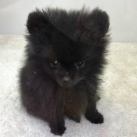 じたま (@g_tama0119) 's Twitter Profile