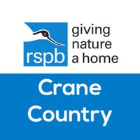 Crane Country(@thecraneproject) 's Twitter Profile Photo