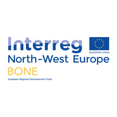 BONE: Bio-fabrication of Orthopaedics in a New Era