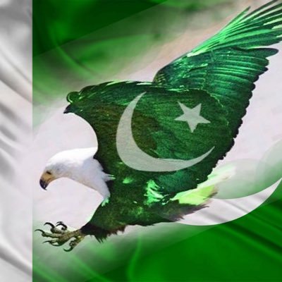 mahek_raja's profile picture. 