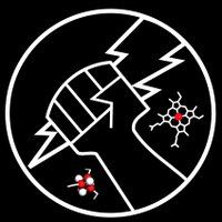 SJE-Lab (@lab_sje) 's Twitter Profile