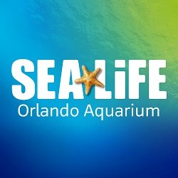 Get face-to-fin with thousands of sea creatures, touch friendly sea stars and anemones and explore Florida’s only 360° ocean tunnel 🌊🐢🐙🐡🐠🦀🦈