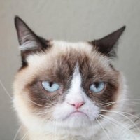 ulisses (@foolisses) 's Twitter Profile Photo ulisses (@foolisses) 's Twitter Profile Photo