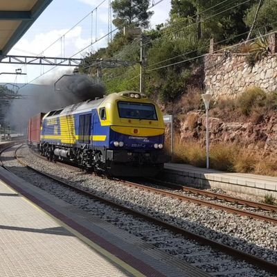 ferransallent's profile picture. 