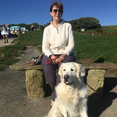 Mum to Molly at 🌈 & Clara Golden Retrievers❤️ Living on the Isle of Wight. Estate Agent for 28 years. Hobby cake baker.