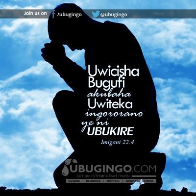 Archime35603665's profile picture. 