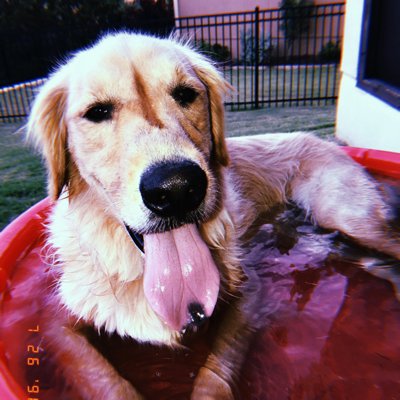 mlabardini's profile picture. 