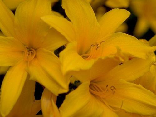 kellym745's profile picture. I'm in an investment club, like watching the stock market, work in the office at a large corporation.