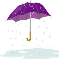 Purple Rain Prints(@PrintsRain) 's Twitter Profile Photo