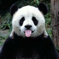 Avisos_ciudadano (@avisosciudadano) 's Twitter Profile Photo Avisos_ciudadano (@avisosciudadano) 's Twitter Profile Photo