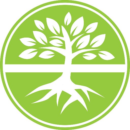 Revolutionizing the Church through emotional health and a slowed-down spirituality.