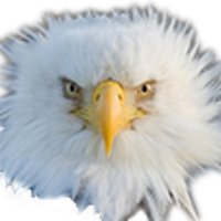 SudbrookPTSA (@sudbrookptsa) 's Twitter Profile