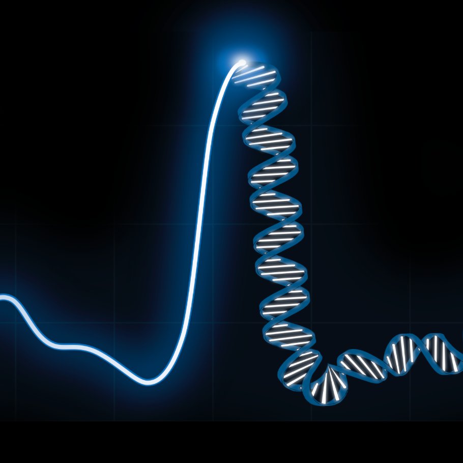 MoskowitzLab's profile picture. Our primary goal is to understand the molecular logic underlying biological processes including cardiac development and cardiac rhythm.