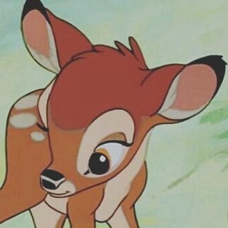 Rajwaさんのプロフィール画像