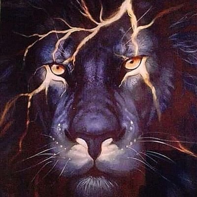 Juan91670512's profile picture. Sigo a la META