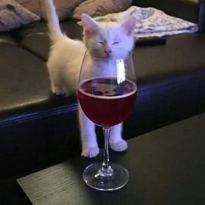 sofbizzle's profile picture. ojalá m muera