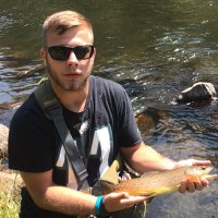 Dylan Jackson (@jitterhdv4) Twitter profile photo