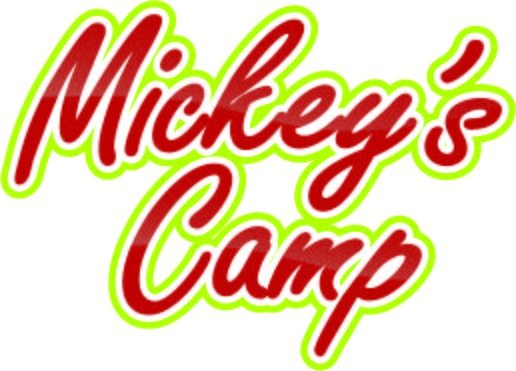 Mickey's Camp was the dream of local businessman Mickey Maurer. In 2001, this dream came true and to date has raised almost $2 million for charities.
