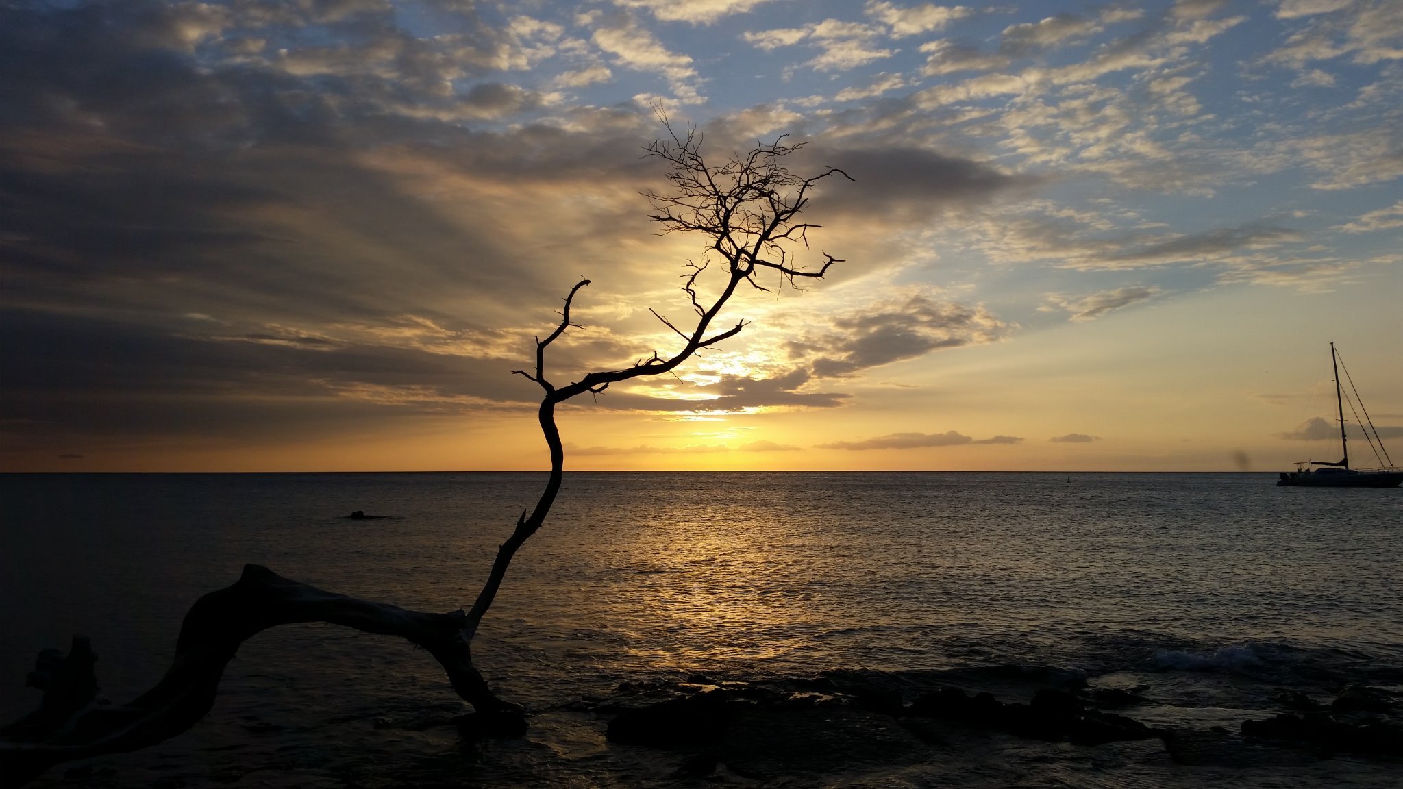 annoyingmom2328's profile picture. 