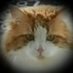 Arno Squellati (@arnosquellati) Twitter profile photo Arno Squellati (@arnosquellati) Twitter profile photo