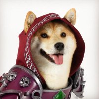 Vox the Dog π (@outside_the_vox) 's Twitter Profile