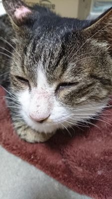 TlGG1ThNgmQL9p1's profile picture. 