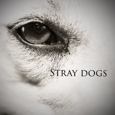 イベントの企画運営団体straydogsです!明治大学生限定クーポンアプリ「camfoo」開発中!営業・開発メンバー随時メンバー募集中
クーポンアプリへのご連絡先はこちら⇩
camfoo.2020@gamil.com