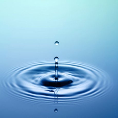 ProductivityDig's profile picture. A curated collection of the highest-quality content on life & productivity improvement.