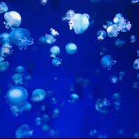 フォロー数世界一を目指す (@0_1_2_3_4_5_6a) Twitter profile photo