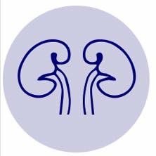 Supporting renal patients. A ‘place’ where #Awareness & #Research Meet. Evidence Base Support Group. Shortlisted for Synnovis Award, Science under AHA (2023)
