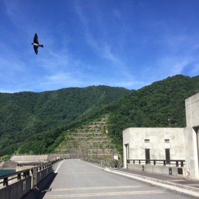 美しい✨ 地球が大好き。でも… この世のカラクリ、真実を知らねば本当の平和はない。RAPT理論➡️https://t.co/gZ7FuYG2R0 ラプト氏のインスタ🈁https://t.co/f5UmPmnj4H 🆒真実のニュースサイト‼︎ https://t.co/OpMlkuBph5