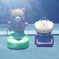 陽🐻と裕🐷の母ちゃん😊 (@yo_yu_kaachan) 's Twitter Profile Photo