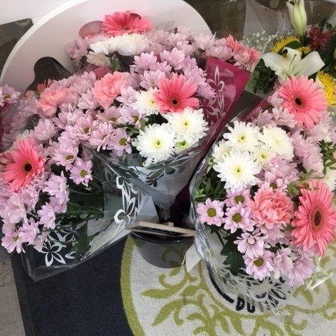 DaisyBumbles_'s profile picture. Fully qualified Florist close to Tipton cemetery 0121 531 6106 Free Easy Parking