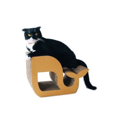 kafbo_studio's profile picture. Motto KAFBO “Happy Cat, Happy Home”