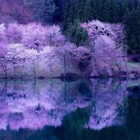饅頭 (@sidare_0512) 's Twitter Profile