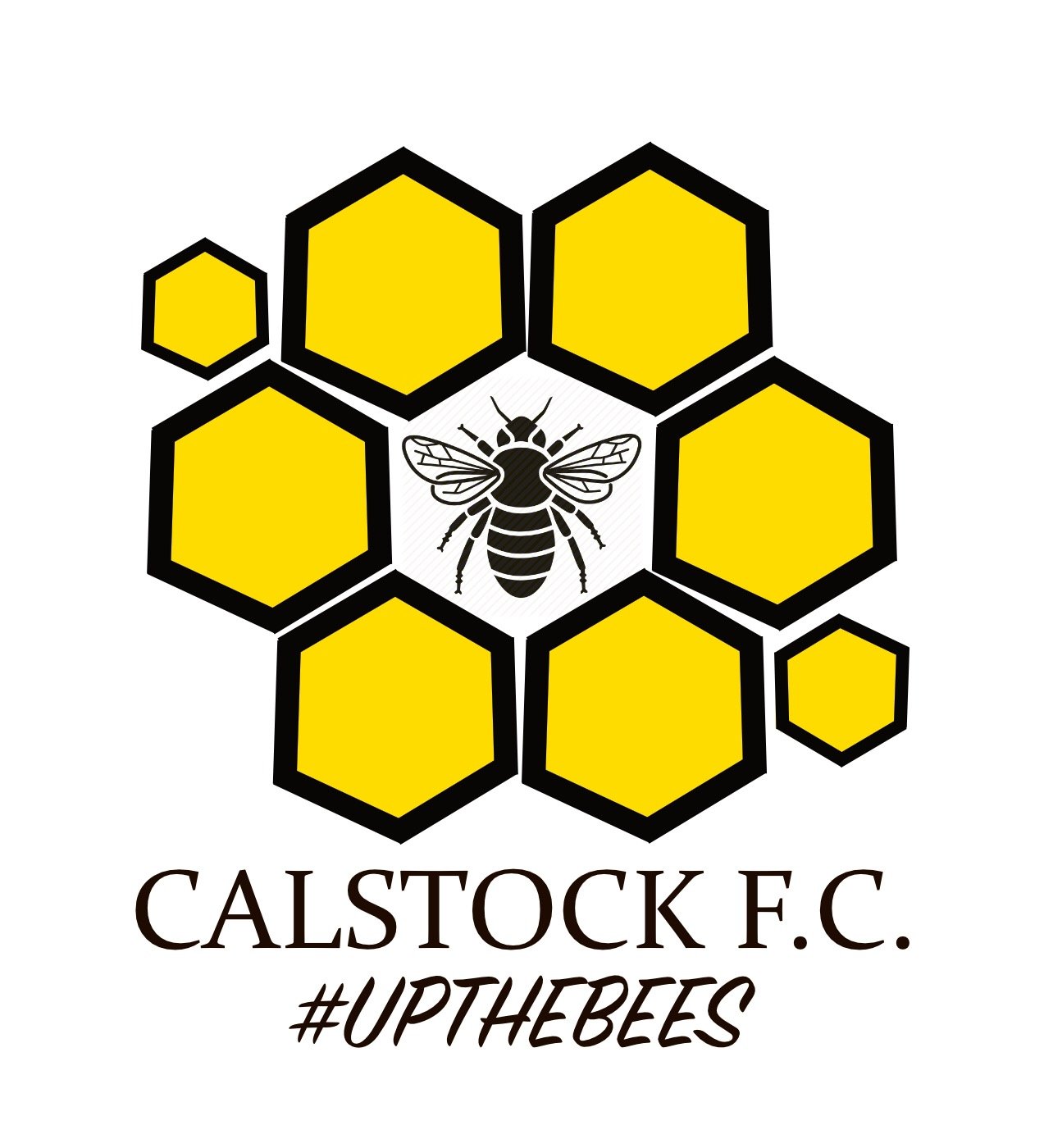 Calstock F.C. Profile